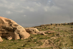 2305-Petite-Petra-05_1-scaled
