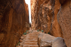 2305-Petite-Petra-12_1-scaled