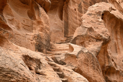 2305-Petite-Petra-19_1-scaled