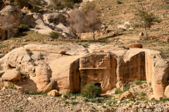 2305-Petra-07_1-scaled