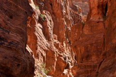 2305-Petra-38_1-scaled