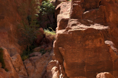 2305-Petra-56_1-scaled