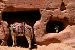 2305-Petra-64_1-scaled