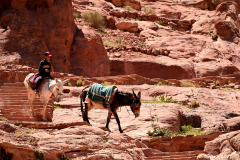 2305-Petra-79_1-scaled