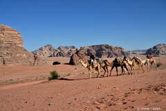 2305-Wadi-Rum-42_1-scaled