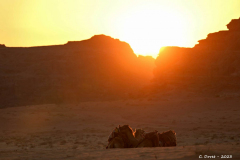 2305-Wadi-Rum-64_1-scaled