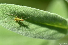 DSC_3964_DxO_01-scaled