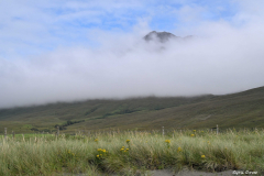 2208-Glen-Brittle-04-scaled