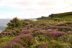 2208-Lealt-falls-41-scaled