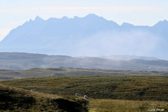 2208-Loch-Dunvegan-04-scaled