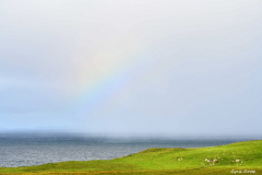 2208-Trumpan-21-scaled