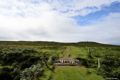 2208-Trumpan-26-scaled