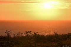 2208-Trumpan-couche-de-soleil-02-scaled