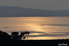 1001-Rognac-06-scaled