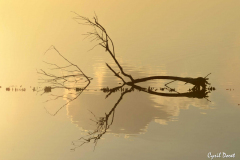 1112-Vitrolles-Salins-du-lion-05-scaled