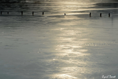 1202-Vitrolles-salins-du-lion-01-scaled