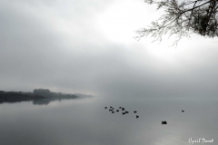 1212-Rognac-La-tete-noire-05-scaled