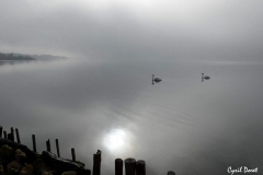 1212-Rognac-La-tete-noire-08-scaled