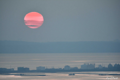 1411-Rognac-la-colline-10-scaled