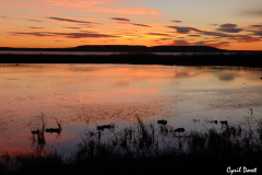 1501-Berre-Hutte-JP-Ribereau-10-scaled