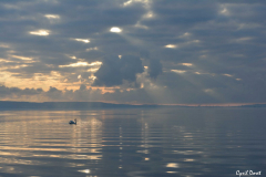 1512-Rognac-Ancien-port-12-scaled