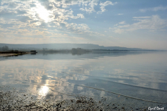 1603-Rognac-Marais-de-la-tete-noire-09-scaled