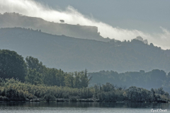 1610-Rognac-Marais-de-la-tete-noire-23-scaled