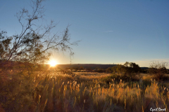 1610-Rognac-Marais-de-la-tete-noire-30-scaled