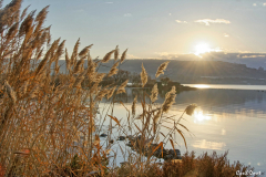 1701-Rognac-Marais-de-la-tete-Noire-04-scaled