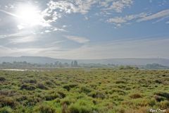 1705-Rognac-Marais-de-la-tete-noire-02-scaled