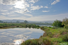 1705-Rognac-Marais-de-la-tete-noire-05-scaled