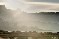 1712-Rognac-Marais-de-la-tete-noire-10-scaled