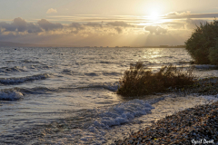 1811-Rognac-Marais-de-la-tete-noire-08-scaled