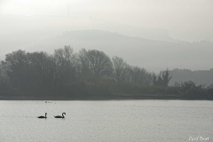 2002-Rognac-Marais-de-la-Tete-Noire-Brouillard-17-scaled