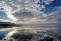 2012-Rognac-Marais-de-la-Tete-Noire-27-scaled