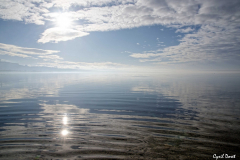 2012-Rognac-Marais-de-la-Tete-Noire-29-scaled