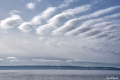 2101-Rognac-Marais-de-la-Tete-Noire-22-scaled