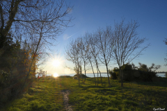 2112-Rognac-Ancien-port-06-scaled