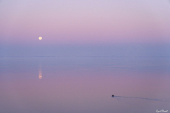 2112-Vitrolles-Salins-du-lion-Couche-de-lune-02-scaled