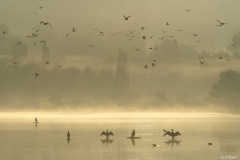 2112-Vitrolles-Salins-du-lion-Lever-de-soleil-11-scaled