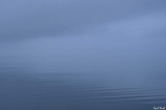 2201-Etang-brumeux-02-scaled