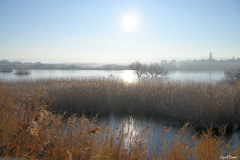 2201-Marignane-la-Palun-07-scaled