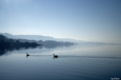 2201-RognacMarais-de-la-tete-noire-03-scaled