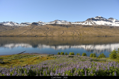2606-Faskrudsfjordur-03