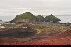 2606-Heimaey-iles-Vestmann-18