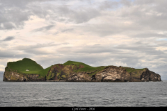 2606-Iles-Vestmann-07