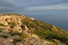 1502-Malte-Dingli-06_resultat