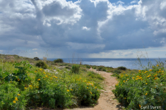 1502-Malte-Temples-Hagar-Qim-et-Mnajdra-20_resultat