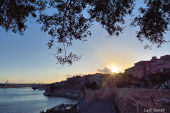 1502-Malte-Valetta-Jardins-Hastings-09_resultat