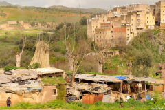 1003-Fes-07_01-scaled